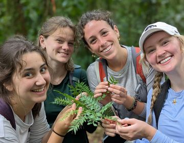 monteverde abroad environmental studies