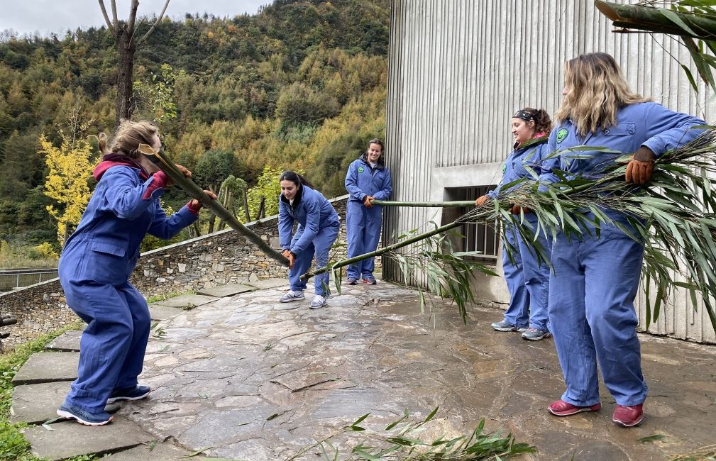 student excursion to sichuan province china